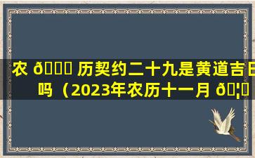 农 💐 历契约二十九是黄道吉日吗（2023年农历十一月 🦊 二十九是黄道吉日吗）